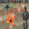 Bullet For My Life