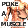 Poke A Muscle