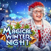Hidden Object Games Magical Winter Night