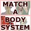 Match-A-BodySystem