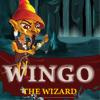Wingo the Wizard